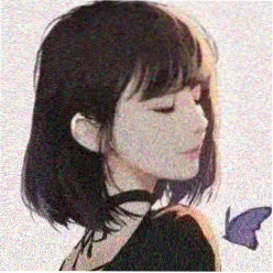 用户 纸飞机 头像